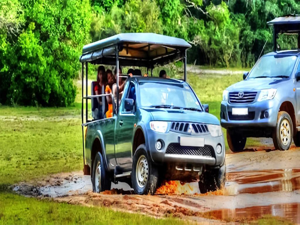 Nature - Yala Safari Village Tissamaharama