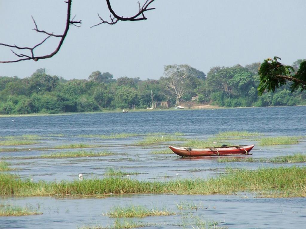 Nature - Yala Safari Village Resort Tissamaharama